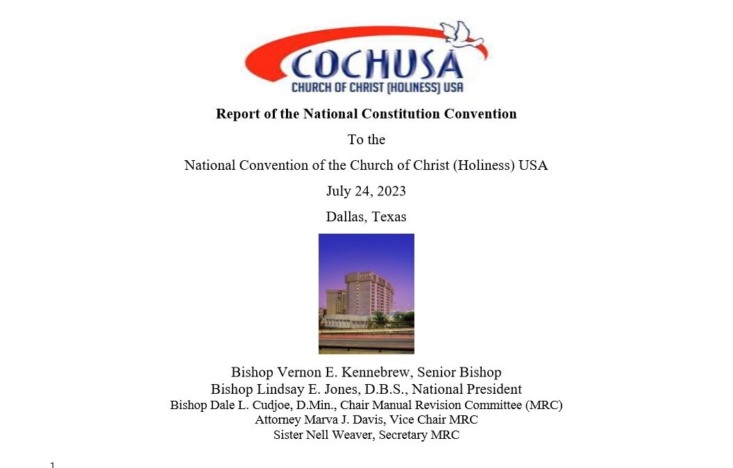 Report of the Constitutional Convention to the 2023 National Convention